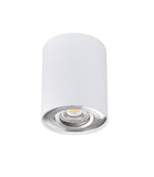 Kanlux BORD DLP-50-SR/W white silver
